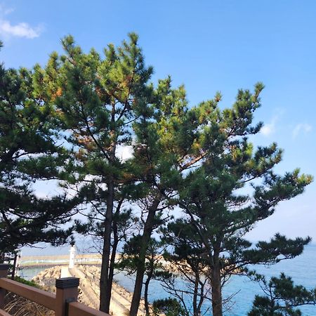 Bada Village Minbak 済州市 エクステリア 写真